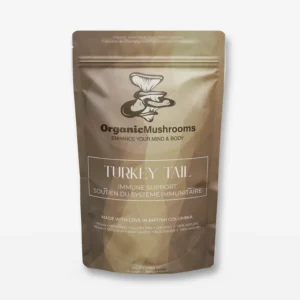 Turkey Tail Capsules