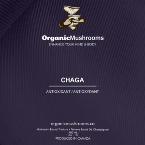 Chaga Mushroom Tincture