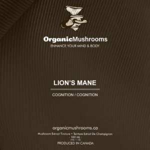 Lion's Mane Mushroom Tincture