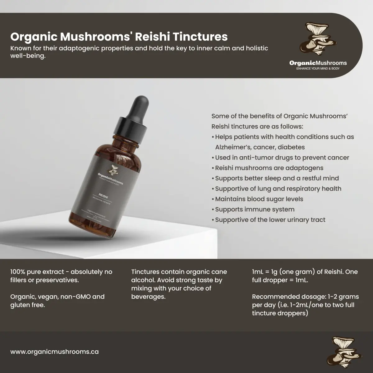 Reishi Mushroom Tincture