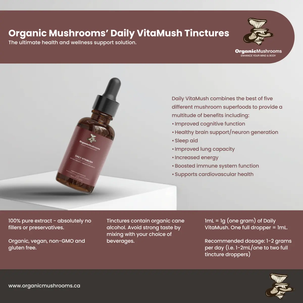 Daily VitaMush Mushroom Tincture