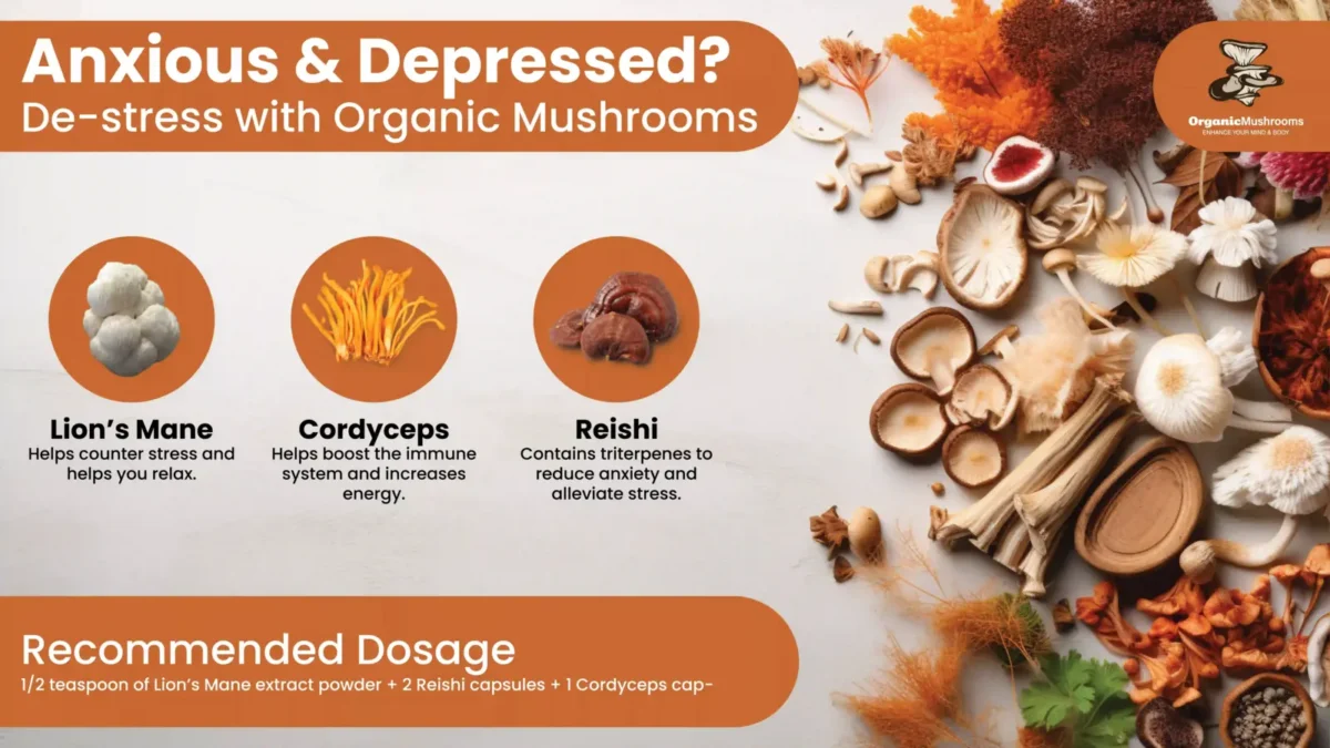 De-stress with our Depression & Anxiety Wellness Bundle