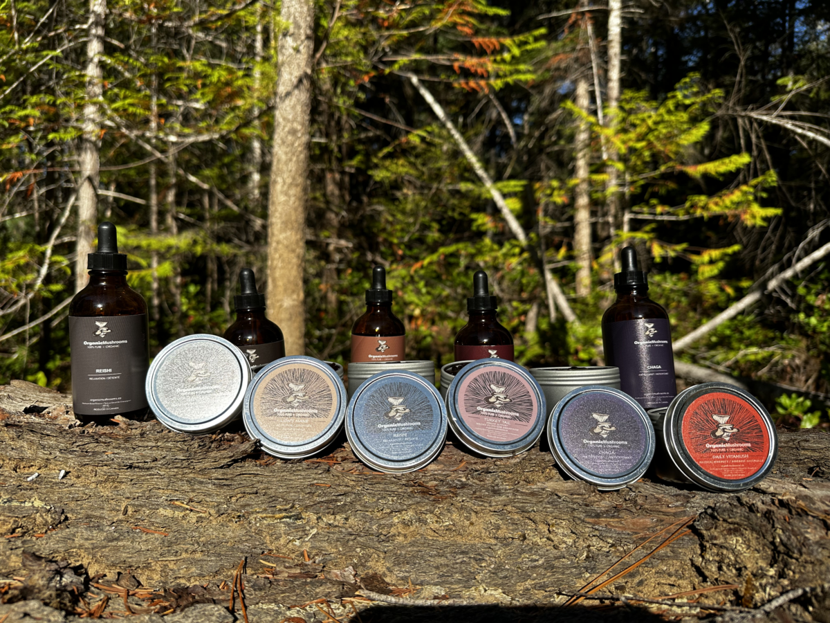 Organic Mushrooms, Mushroom Tinctures, Lion's Mane, Cordyceps, Turkey Tail, Chaga, Shiitake, Reishi, Daily Vitamush, Mushroom Tinctures: Everything You Need to Know