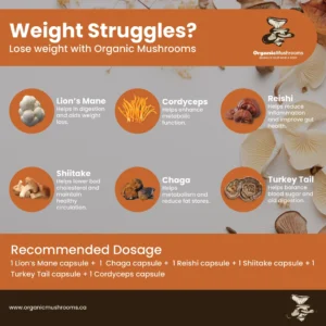 Weight Loss Wellness Bundle