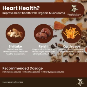 Heart Health Wellness Bundle