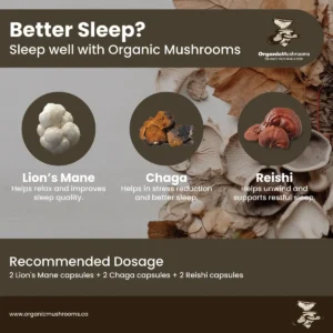 Sleep Aid Wellness Bundle