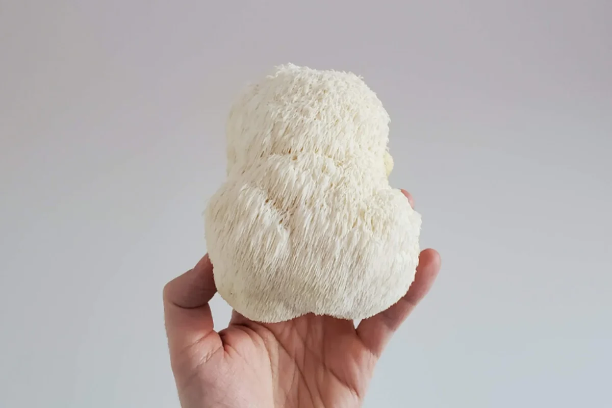 Why Daily VitaMush is your ideal health supplement