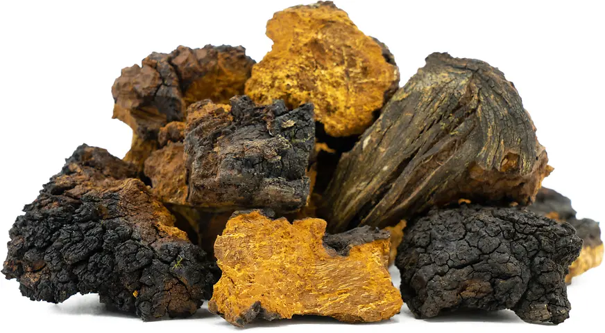 Is Chaga good for your health