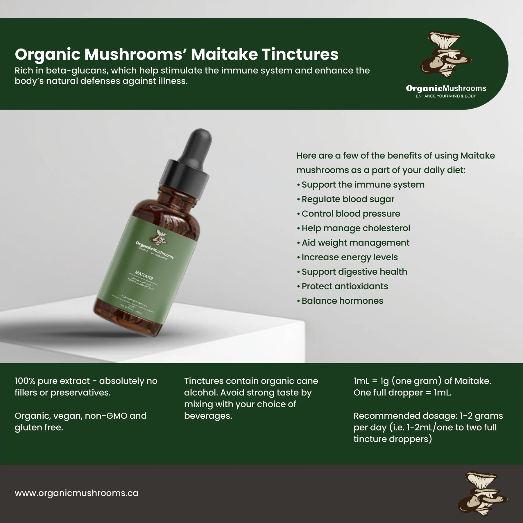 Maitake Tincture - Image 3