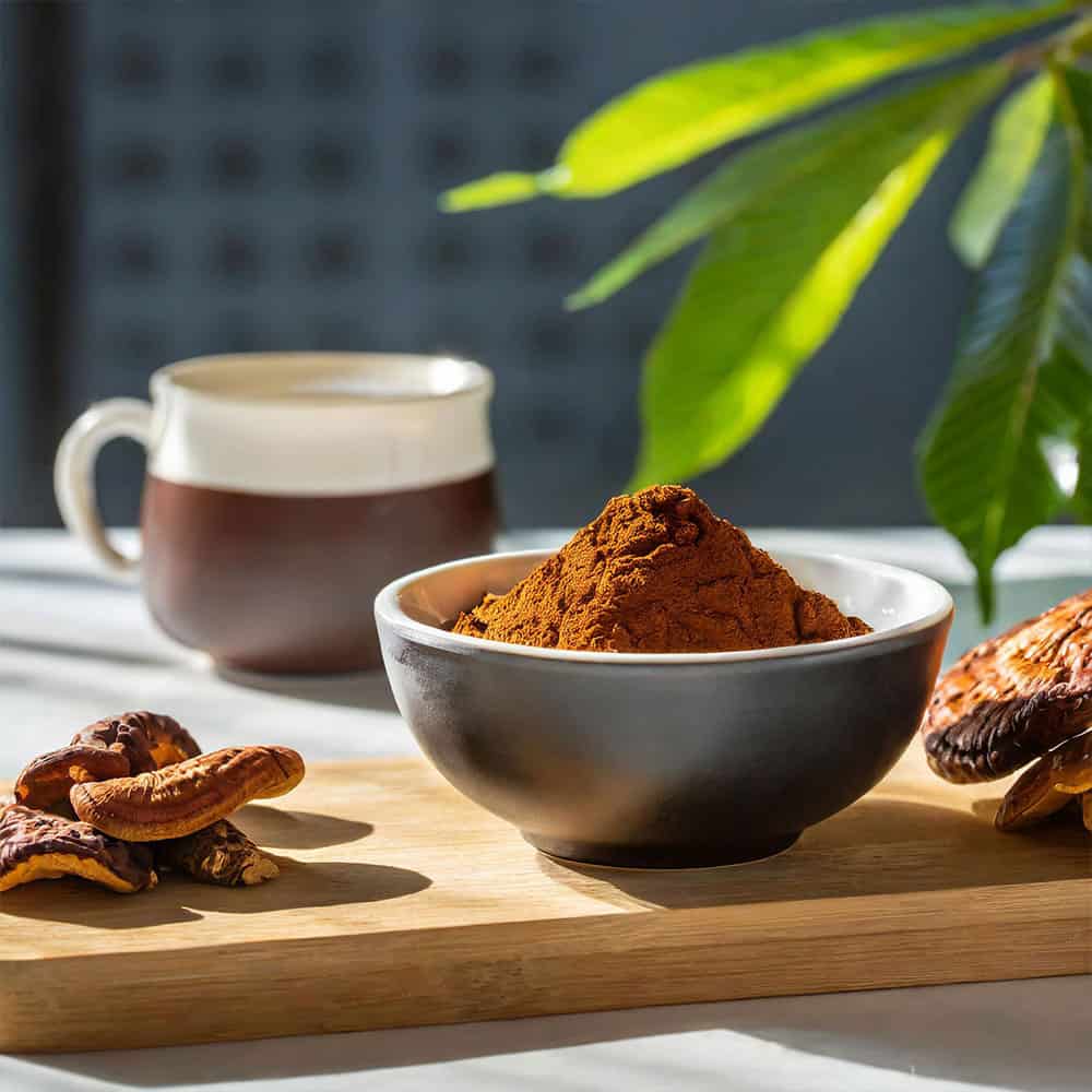 Easy ways to incorporate Organic Mushrooms extract powder in your daily diet