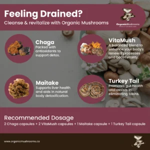 Detox & Renew Wellness Bundle