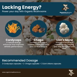 Energy Boost Wellness Bundle