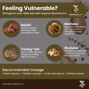 Immune Shield Wellness Bundle