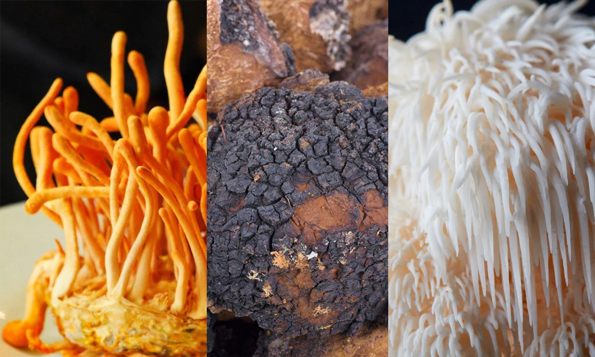 Which Mushroom Is Best for Energy Levels?