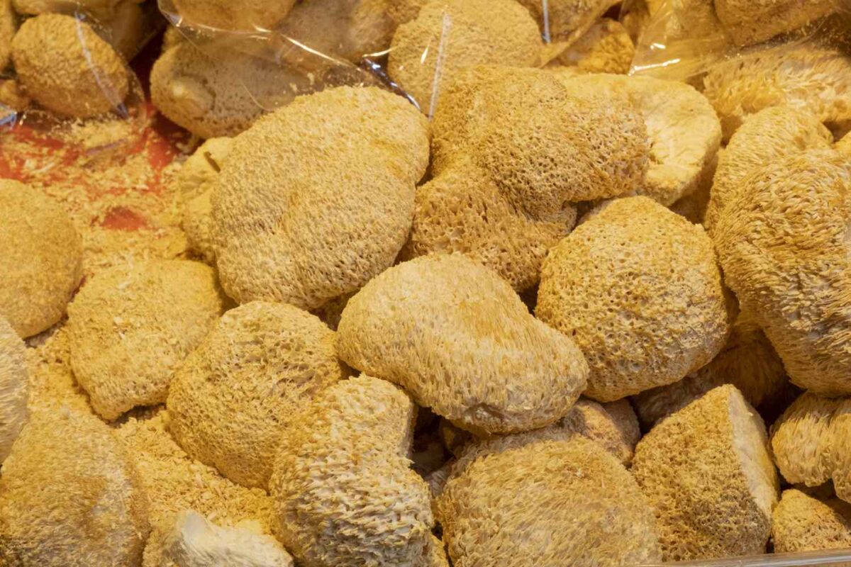 Can You Grow Your Own Functional Mushrooms?