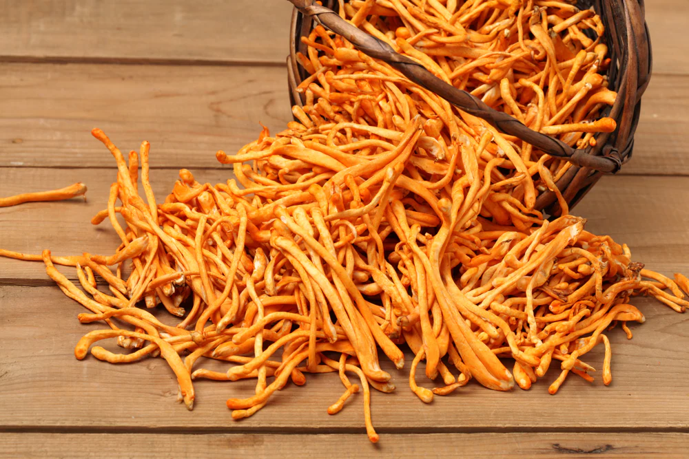 When Is the Best Time to Take Your Mushrooms?