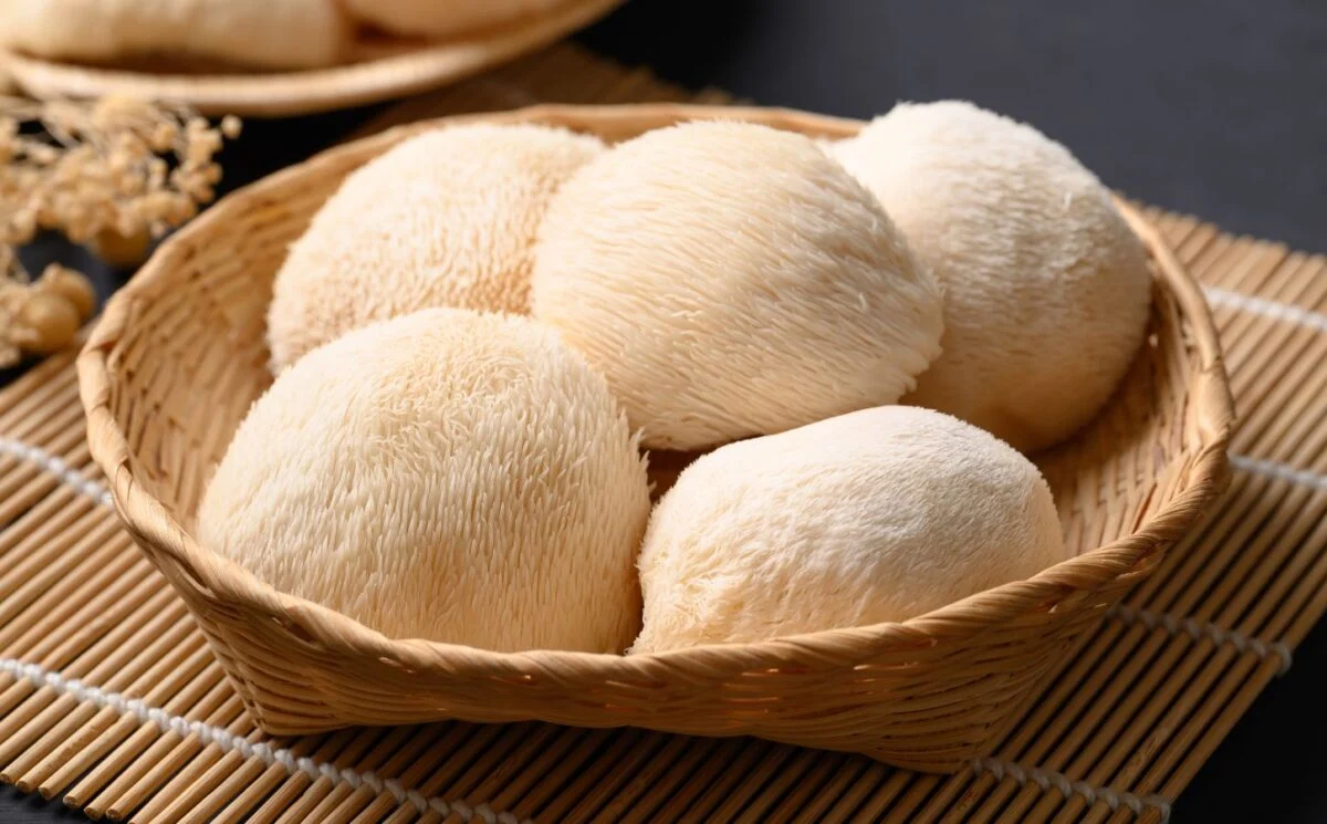 A Review of Functional Mushrooms - A Paper Analysis