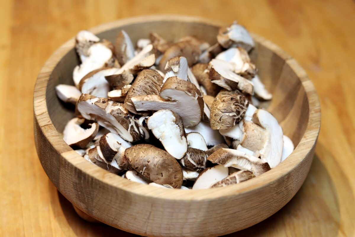 A Look At Our Shiitake Gummies