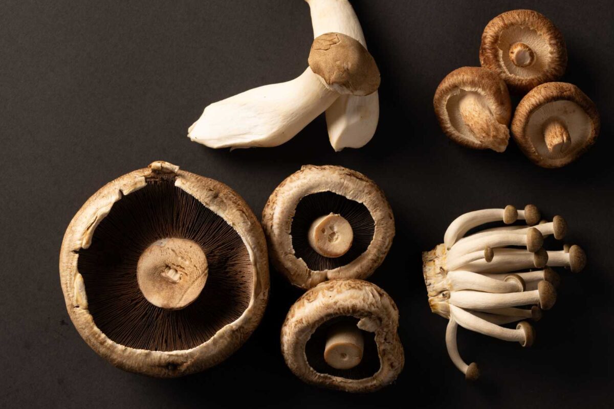 Creative Ways to Use Mushroom Supplements