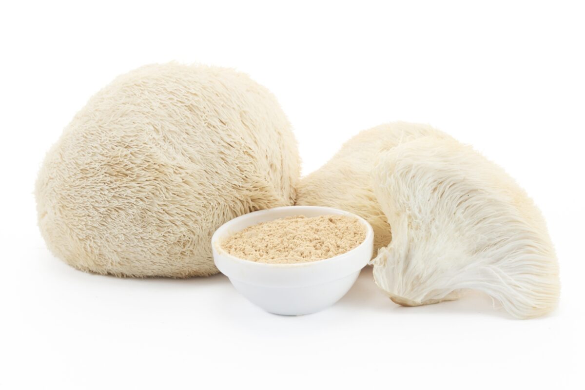 Why Color Variation is Normal Between Different Batches of the Same Mushroom