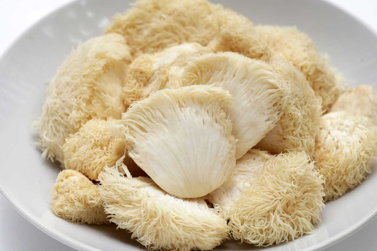 5 Easy Ways to Add Lion’s Mane to Your Day